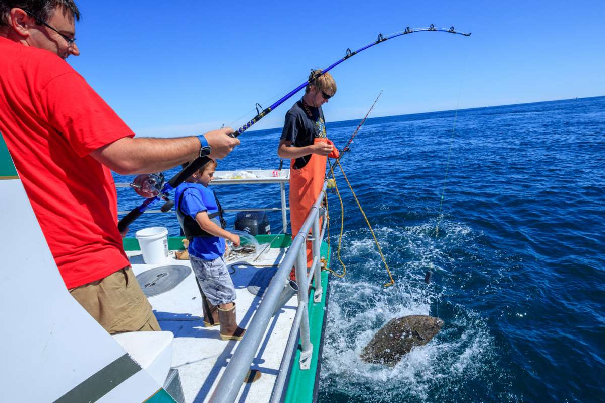 Valdez Halibut Derby